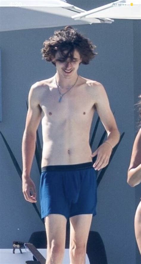 timothee chalamet naked porn|Timothée chalamet